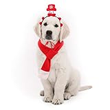 POPETPOP Haustier Weihnachten Kostüm Zubehör Hund Schneemann Stirnband und Weihnachten Schal Set für Hunde Katzen H
