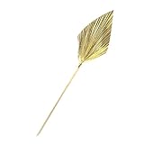 KaKaDz Palm Fan Blatt Getrocknete Blume, Natürliche getrocknete Blume Palmblatt-Fan-Anlage DIY.Party Art Wandhängende H