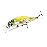 YJBEAPT Jerkbaits Angelköder 60mm 6g 80mm 9g 105mm 18,6g Sinkender Köder Hochwertige Hartköder Gute Aktion Wobbler-9506-M02,China,60mm 6g