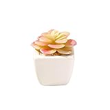 strimusimak Künstliche Blumen, Sukkulenten, Töpferei, Bonsai, für Balkon, Büro, Schreibtisch, Dekoration – XS0008