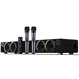 Bluetooth-TV-Karaoke-Sound, 5.1-Surround-Sound-Kanal, Unterstützt Glasfaser, RCA, 3,5 Mm, U-Disk-Eingang, Verlustfreie Wiedergabe, Intelligentes WLAN, Zwei Drahtlose Mik
