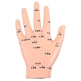 Scicalife Pädiatrische linke Hand Modell Lehre Hand Akupoint-M