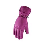 QOXEFPJZ Handschuhe Winter Frauen Ski Schnee Handschuhe Thermal Motorrad Snowboard Winter Outdoor wasserdichte Ziehen Schnalle Langwinddrucke Warme Mitte Handschuhe (Color : Lila)