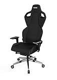 RECARO Exo Platinum Gaming Chair - ergonomischer, höhenverstellbarer Gaming Stuhl der Extraklasse - Black & Black