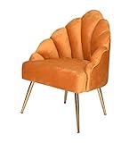 Fächer Sessel Samt Mustard Esszimmerstuhl Samtstuhl Retro Küchenstuhl Art Deco skr007 Palazzo Exk