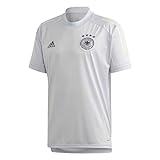 adidas Herren Dfb Tr Jsy T-Shirts, clear grey, M