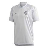 adidas Herren Dfb Tr Jsy T-Shirts, clear grey, M