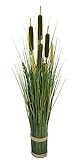 Flair Flower Mixed Bund Kunst Künstliches Gras Ufergras Rohrkolben Stehgras Kunstgras Ziergras Kunstpflanzen Dekogras Grasbüschel Grasbündel Grasarrangement 80 cm, Grün, 10x80x10