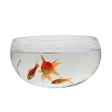 OVBBESS Elegante runde Vasen in verschiedenen Größen,transparente Acryl-Fischschüssel,Aquarienschüssel,Aquarium-Heimdek