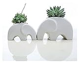 LBBZJM Pflanztopf Blumentopf Elefant Keramik Pflanzer Winzige Blume Pflanze Container Pot Home Office Desktop Mehr Perfekte Kombination von Ornamenten (Size : S)