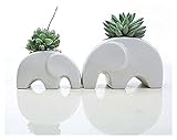 LBBZJM Pflanztopf Blumentopf Elefant Keramik Pflanzer Winzige Blume Pflanze Container Pot Home Office Desktop Mehr Perfekte Kombination von Ornamenten (Size : S)