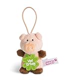 NICI 44864 Anhänger Schwein mit Spruch Viel Erfolg 8cm mit Loop, rosa/b