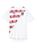 PUMA Herren ÖFB Stadium Jersey T-Shirt, White-Chili Pepper, L
