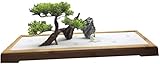 TANGMEN Zen GardenFor Schreibtisch, chinesischer Stil Zen Garten Sand Desktop Ornament trockene Landschaft Sandkasten Massivholz Sand Tisch Mikrolandschaft Meditation Relax Dek