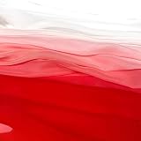 ZXC 150 cm Breit Chiffon Stoff Chiffon Stola für Stirnbänder Schal Kleidung Haargummis Hochzeiten Dekor und Andere DIY Handwerk 1m(Size:1.5 * 10m,Color:rot)