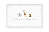BSB Grußkarte Glückwunschkarte zur Geburt''Willkommen auf der Welt'' kleine Tiere', 311836-2