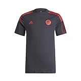adidas FC Bayern München T-Shirt Kids Grau, 176