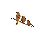 Gartenstecker Vögel 3er Metall Rost Gartendeko Edelrost Groß