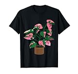 Pink Princess Philodendron Leaf seltene Pflanzenliebhaber Exotic T-S