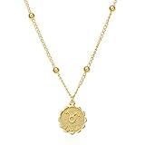LISI Halskette Anhänger in 12 Konstellation, Schmuck Schlüsselbeinkette in Yen-Münzen, Geburtstagsgeschenk für Damen Mädchen Gewicht 5g Kettenlänge 40 + 7cm (15 + 3Zoll),T
