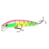xinxinchaoshi AngelKöder Bass Angelköder Kit Harte Köder for Bass Pike Fit Salzwasser und Süßwasser Kunstköder Swimbait (Color : 1 Pack)