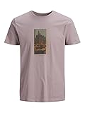 JACK & JONES Herren Rundhals T-Shirt JCOMATEO - Regular Fit S M L XL XXL Grau Lila Beige 100% Baumwolle, Größe:XL, Farbe:Purple Dove REG 12200619