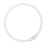 SYLVANIA T5 Leuchtstoff-Lampe, 2GX13 Sockel, 40 Watt / 3300 Lumen entspr. ca: 40 Watt, Cool White (4000K), 16000h Lebensdauer, Ring Form, 16mm Durchmesser, mm Länge, Weißer Kolben, dimmbar, 1er Pack