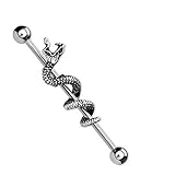 Tapsi´s Coolbodyart®| Industrial Barbell Piercing Stab Edelstahl Chirurgenstahl 316L 38mm Altsilber,Schlang