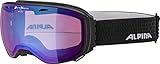 ALPINA Unisex - Erwachsene, BIG HORN QVM Skibrille, black matt, O