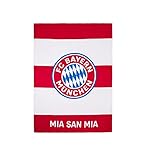 FC Bayern München Kuscheldecke Decke (one Size, Multi)