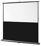 celexon mobile Beamer-Stativ Leinwand Ultramobil Professional für Schule, Präsentation oder Büro mit Teleskopstange - 120 x 75 cm - 16:10 - Gain 1,0