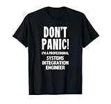 Systemintegration Engineer T-S