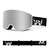 Winterskibrillen Neue zylindrische Skibrillen Männer und Frauen Einzelne Doppelboardski-Spiegel Doppelschicht Anti-Nebel-Skiausrüstung können Schiebergläser ändern ( Color : White frame/silver sheet )