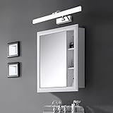 JFIOSD Led Bad-Beleuchtung 1200LM 6000K Kaltweiß Spiegelleuchte IP44 Wasserdicht Edelstahl Wandleuchte Anti Nebel Spiegelschranklampe Für Schminktisch,60cm14w