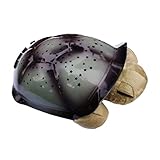 Baoblaze Sternprojektorlampe Schlafzimmer Weihnachtsgeschenk Schildkröte Musikalisches Nachtlicht für Kleinkinder - Graugrü