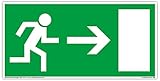 Schild Notausgang | extra langnachleuchtend | PVC selbstklebend 297x148mm | gemäß BGV 8A | DIN 67510 | Notausgangsschild Pfeil rechts | Fluchtwegschild Rettungsweg | Dreifke® extra 160