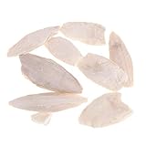 Zonster 1 Beutel Sepiaschale Tintenfische Sepia Tintenfische Vogelfutter Calcium Pickstone H
