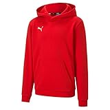 Puma Kinder teamGOAL 23 Casuals Hoody Jr Hoodie, Red, 116