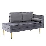 Mingone Modernes Design Chaiselongue Zweisitzer-Sofa Freizeitsessel Samt-Armlehnensofa mit Kissen Relax für das Wohnzimmer(Hellgrau,1)