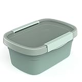 Rotho Clic Eco Frischhaltedose, lebensmittelechter Kunststoff (PP) BPA-frei, grün/transparent, 1.5l, 1,5l (22 x 15 x 9,6 cm)