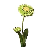 Katolang Künstliche Seidenblumen, Zweig, Blumenstrauß für Party, Hochzeit, Zuhause, Büro, Tischdekoration (mehrere Farben), Grü