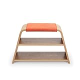 TZSMXJ Schuhaufbewahrung Kreative Startseite Schuhe Hocker Moderne Minimalist Massivholz-Stoff Mehrschichtige Schuhreg