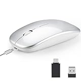 REFRIY Drahtlose Maus mit Bluetooth-Stummschaltung 2,4 G Office-Maus mit integriertem 500-mAh-Akku für MacBook/Tablet/PC/Office/Spiel,Silb