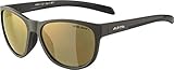 ALPINA Unisex - Erwachsene, NACAN II Q-LITE Sonnenbrille, anthracite matt, O