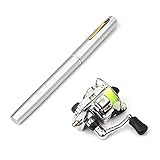 1m / 1,4m. Tasche zusammenklappbare Angelrute Rolle Combo Mini Stift Angelpol Kit 7 Farben Stiftform Gefaltete Stange mit Rollenrad (Farbe: Lila Größe: 1m) kangdongxu (Color : Silver, Size : 1.4m)