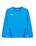 PUMA teamGOAL 23 Jersey LS j