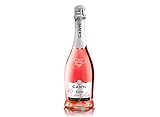 Canti Sekt Cuvèe Rosa Trocken Extra Dry Rosé Roséchampagner (1 x 0.75 l)