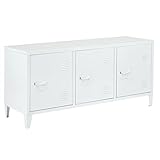 FURNITURE-R France Matapouri White LT TV-Möbel aus Metall, 2 Etagen, 3 Türen, Maße: 120 x 40 x 58 cm, Mattes Weiß, Epoxid-Beschichtung, S