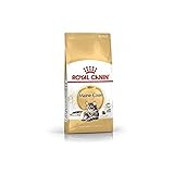 Royal Canin Katzenfutter Maine Coon 31, 4 kg