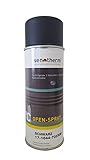 Ofenrohr Beschichtung Lackspray 400ml Senotherm Spraydose in schw